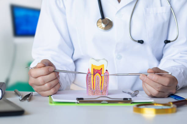 Best Broken or Chipped Tooth Repair in Cokato, MN